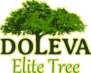 Doleva Elite Tree Company